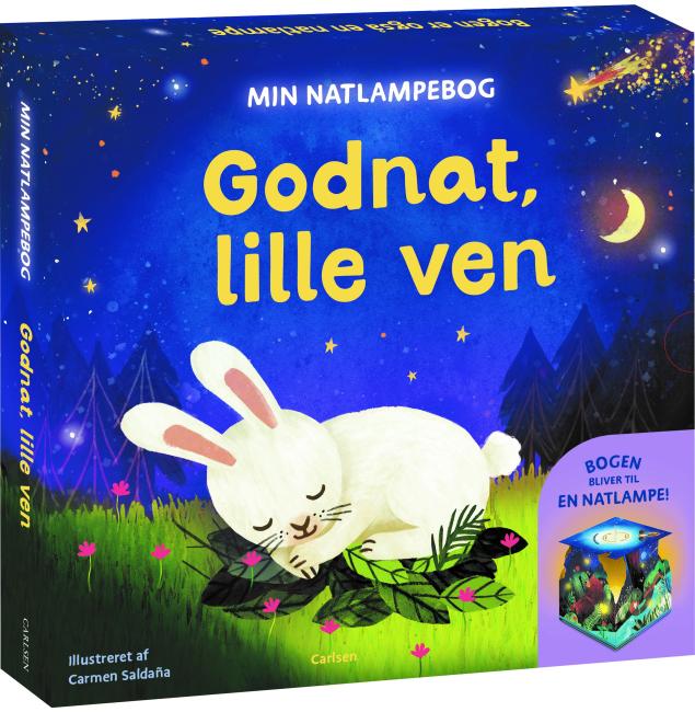 Min natlampebog 